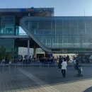 갈대정원 | 10월 순천만습지 갈대밭 방문 후기, 정원역 갈대열차 스카이큐브