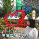 원주시청소년수련관 | 원주 장미축제 2026 가수 기본정보 주차 강원도 5월 축제