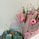아이엘디(ild) 네이버블로그