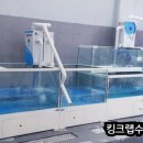 현대수족관 이미지