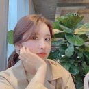 하루효소편백 이미지