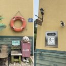 진실이네식당 | [대부도에서 3박 4일 살아보기] 솔직 후기 식당편🍽️ | 그릴리언 | 20호할머니손칼국수 | 진실한짬뽕집