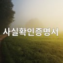 차정수 행정사사무소 이미지