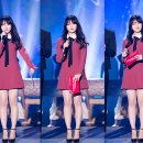 술시 이미지