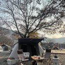 세븐일레븐(밀양표충사점) 이미지