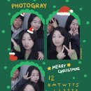 꽃길 걷는 고양이 | 11월 &amp; 12월 일기 ☃️