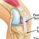 이재규 스포츠 재활 이미지