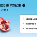 디자인토크 이미지