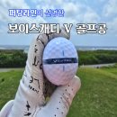 퍼팅 | 보이스캐디 V 골프공 후기, 퍼팅라인이 선명한 골프공