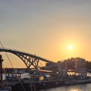 위미중앙로 | 제주 위미항 횟집 위미어부 활어 회센터 서귀포 수산물판매장에서 방어회 포장