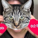 상아애드 이미지