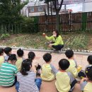 가온유치원 이미지