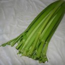 생생농장 이미지