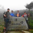 망운산 등산로 이미지