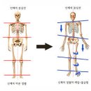 네츄럴 바디 휘트니스 이미지