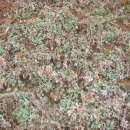 지천농장 이미지