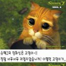 캬캭 이미지