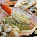 은정이네 이미지