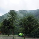 와라쉼터 이미지