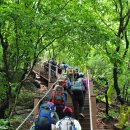 [청계6] 과천역3 매봉 이수봉 옛골 2010 6 13 일 이미지