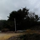 새온누리공인중개사사무소 이미지