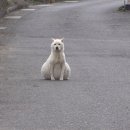 복수농장 이미지