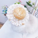 데이지 독 이미지