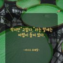 르솔트