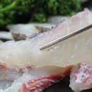 백호상회 이미지