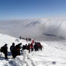 2015년1월17일~18일 제292차 1박2일 제주도 한라산 윗세오름 등반 및 관광 이미지
