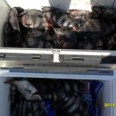 복사초등학교 이미지