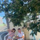 가일 경로당 이미지