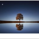 인천한의원 이미지