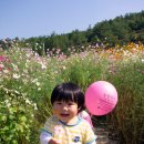 장천휴게소