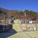 문경새재국민여가캠핑장 이미지