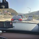 11월 초, 곤지암 화담숲 단풍 구경 드디어 성공!🍁(feat. 지각 입장)