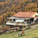 청춘목장 이미지