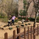 (주)디자인숲