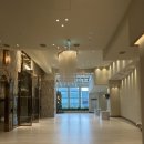 센텀미플러스의원 | 부산 웨딩홀 투어 ‘센텀호텔 카카오홀’ 상담 후 당일 계약 완료! 솔직 후기