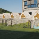 남해댕댕이 애견펜션 블루 이미지