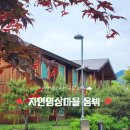 평창 오대산 자연명상마을 옴뷔 후기｜월정사 전나무숲길 가까운 힐링 숙소