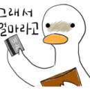 당  골 이미지