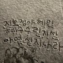 양선비(수완점) 이미지