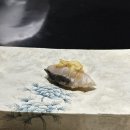 영진특수인쇄 | 2월 일상