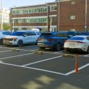 대성농장생오리 이미지