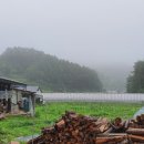 봉화농장 이미지