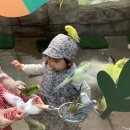 대안농장 | 울산 헬로우쥬 , 앵무새가 “안녕하세요” 인사하는 체험형 동물농장