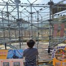 통영생태숲(관리동) | 통영 어드벤처 타워 후기 설욕전 체험