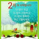 개팔자상팔자 이미지