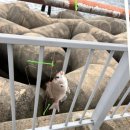 수산어촌체험마을 펜션 이미지